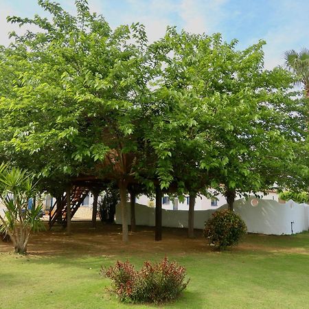 Maison d'hôtes Naturetreehouse Casa Sobre Los Arboles à Blanes Extérieur photo