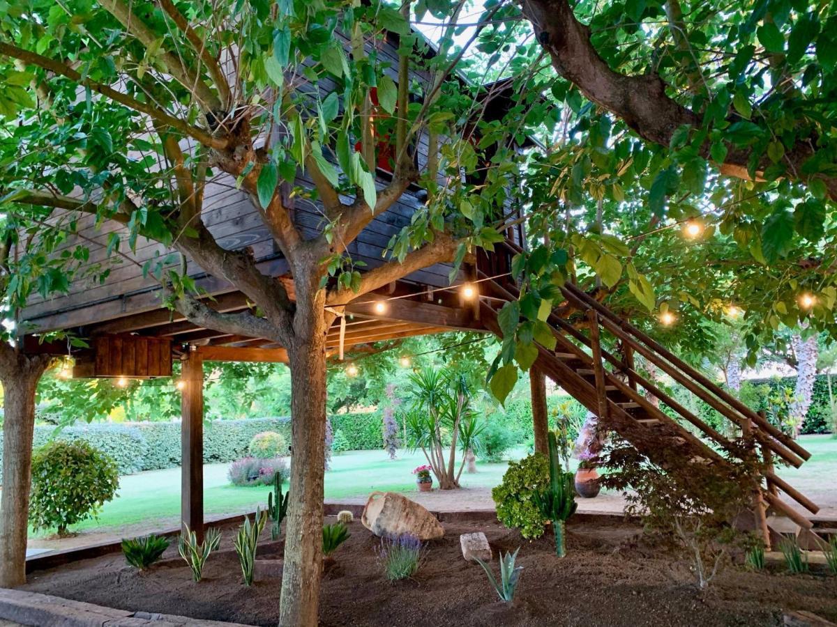 Maison d'hôtes Naturetreehouse Casa Sobre Los Arboles à Blanes Extérieur photo