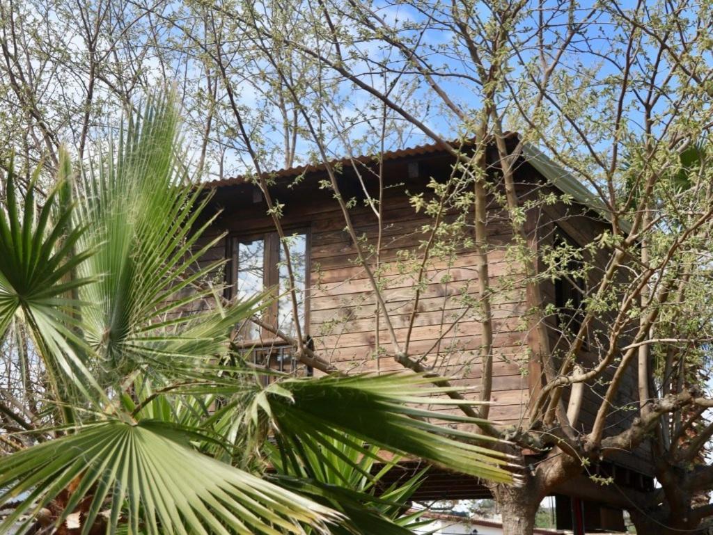 Maison d'hôtes Naturetreehouse Casa Sobre Los Arboles à Blanes Extérieur photo