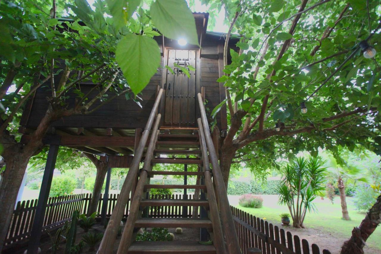 Maison d'hôtes Naturetreehouse Casa Sobre Los Arboles à Blanes Extérieur photo