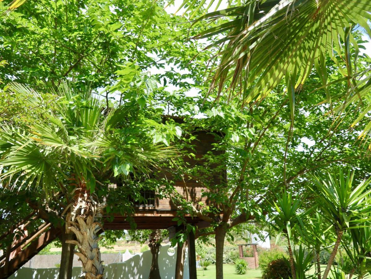 Maison d'hôtes Naturetreehouse Casa Sobre Los Arboles à Blanes Extérieur photo