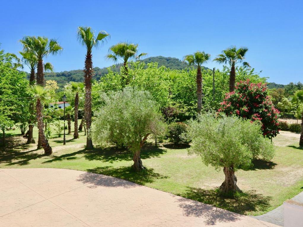 Maison d'hôtes Naturetreehouse Casa Sobre Los Arboles à Blanes Extérieur photo